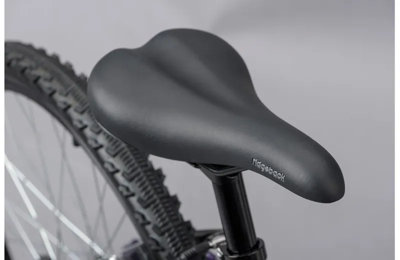 Ridgeback Destiny 24 Kids Bike in Purple-7